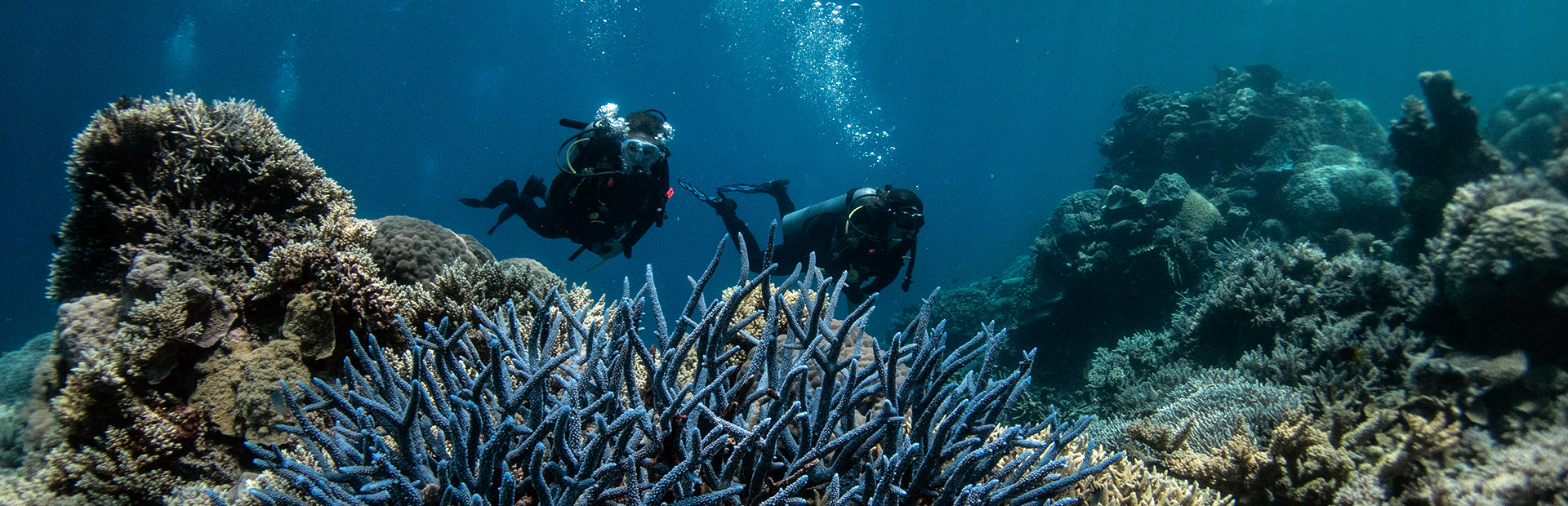 <b>PADI </b> ADVANCED OPEN WATER <b>DIVER</b>