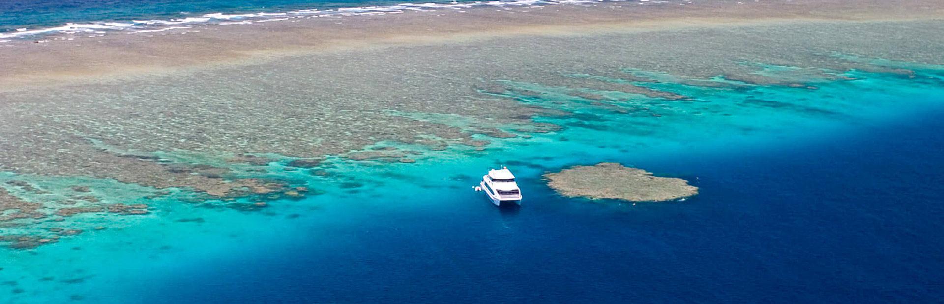 Blue Dive <b>Blog</b>