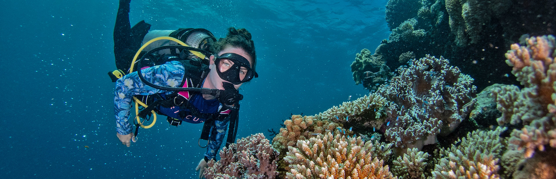 <b>CAIRNS </b> REEF DIVING