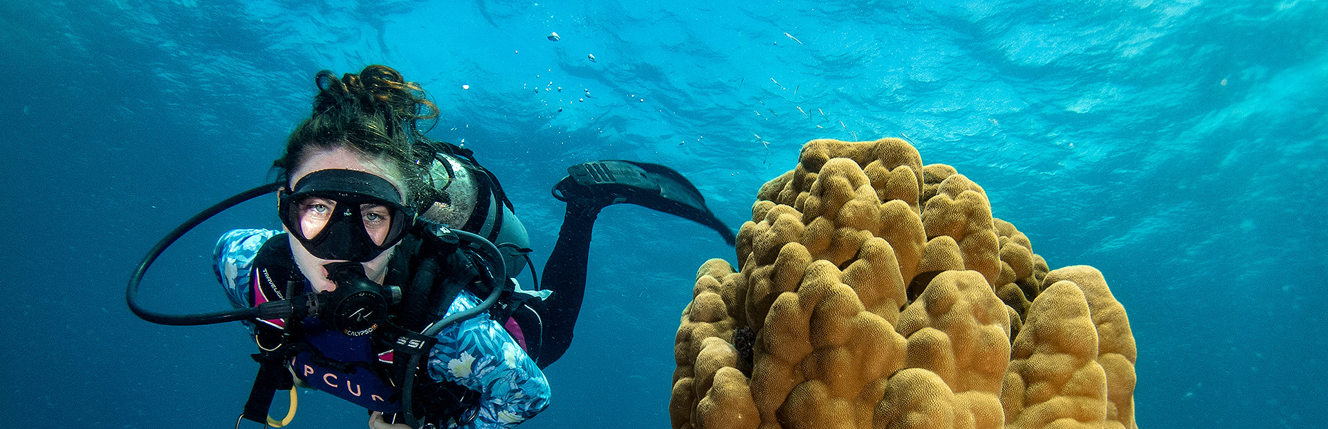 <b>PADI</b> DIVE COURSES