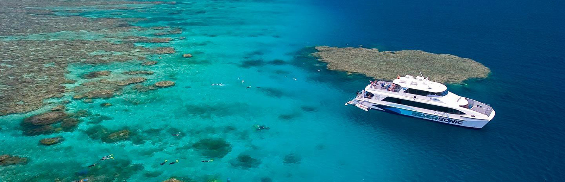 <b>PADI </b> OPEN WATER REFERRAL<b> DIVER</b>