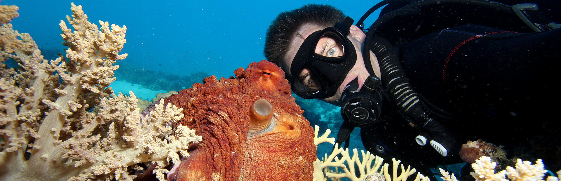 <b>PORT DOUGLAS</b> ADVANCED DIVING COURSES