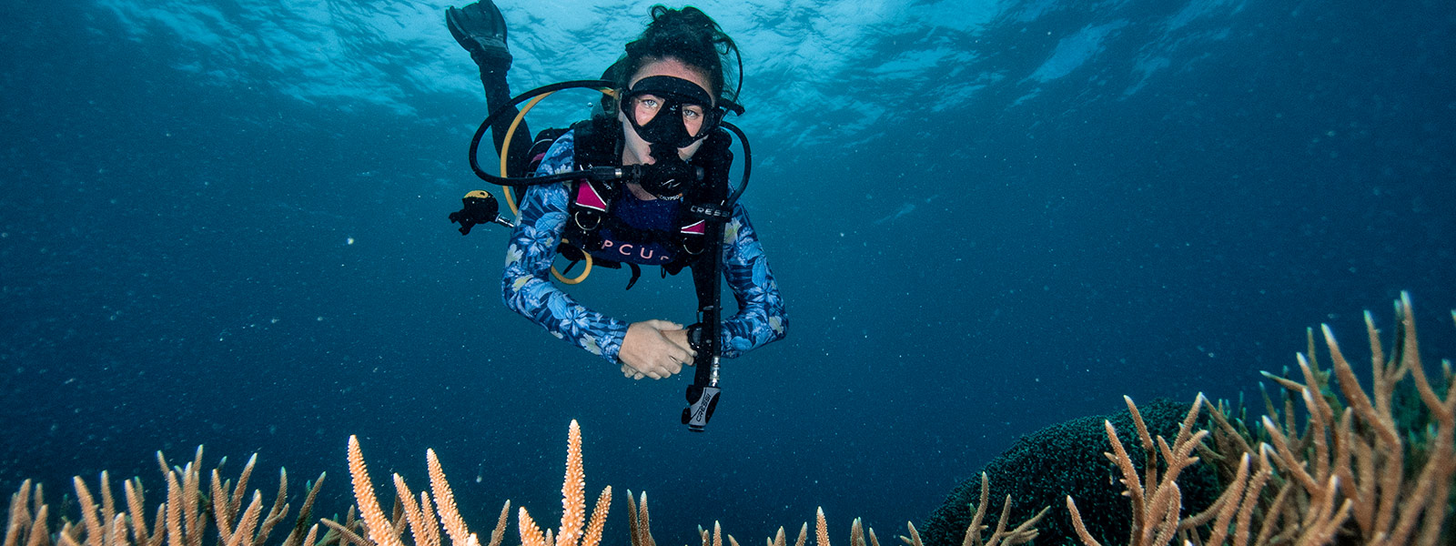 PADI Divemaster Course Port Douglas