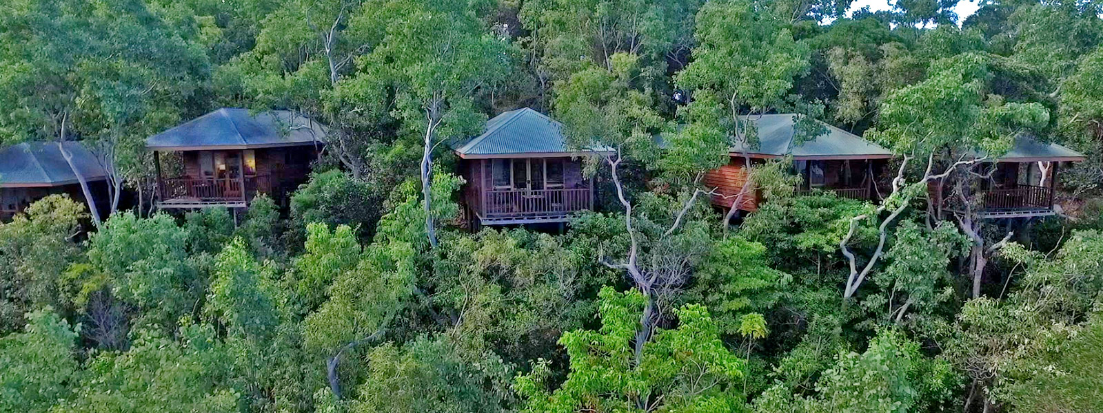 Blue Dive Port Douglas Dive Hotels