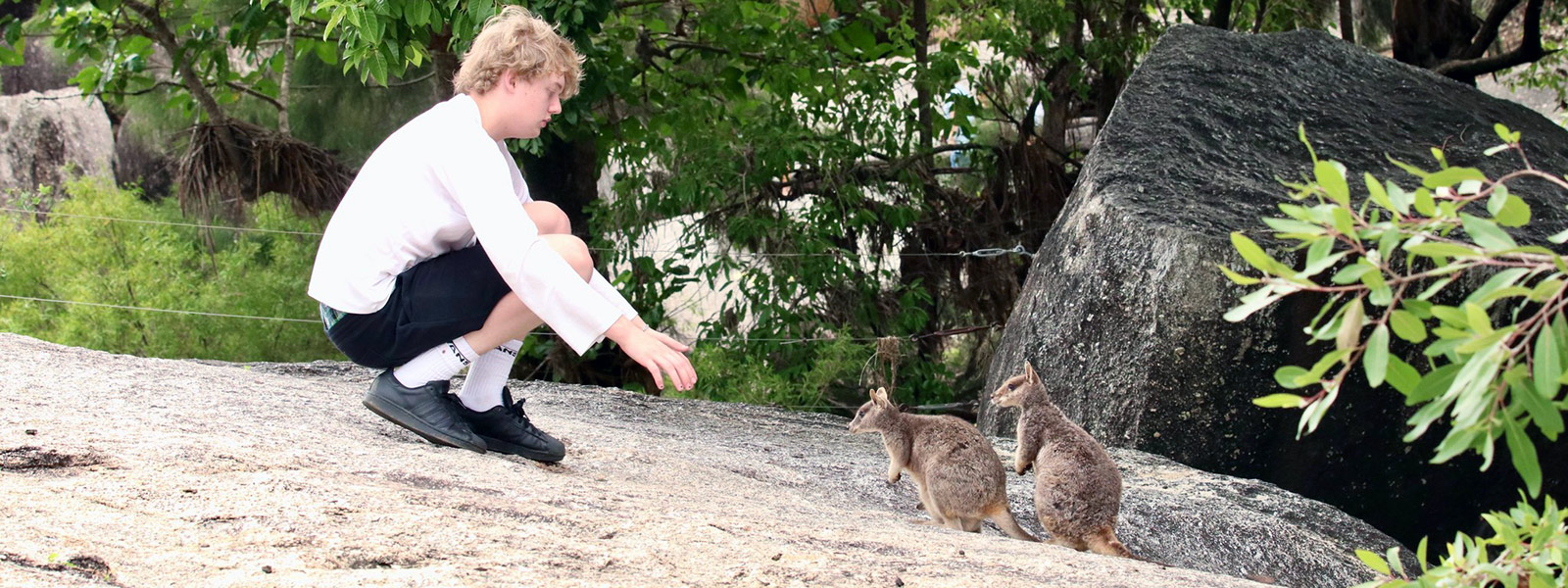 Best Port Douglas Wildlife and Rainforest Tours