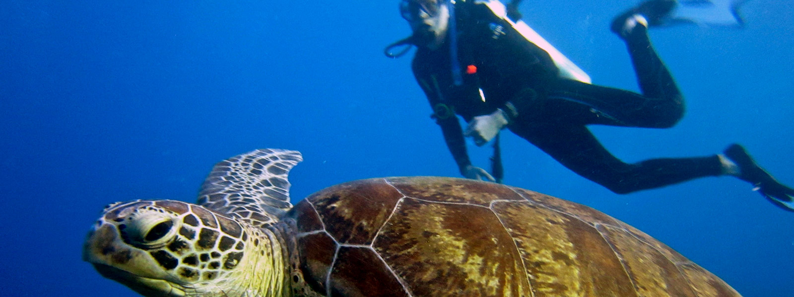 PADI Rescue Diver Course Port Douglas