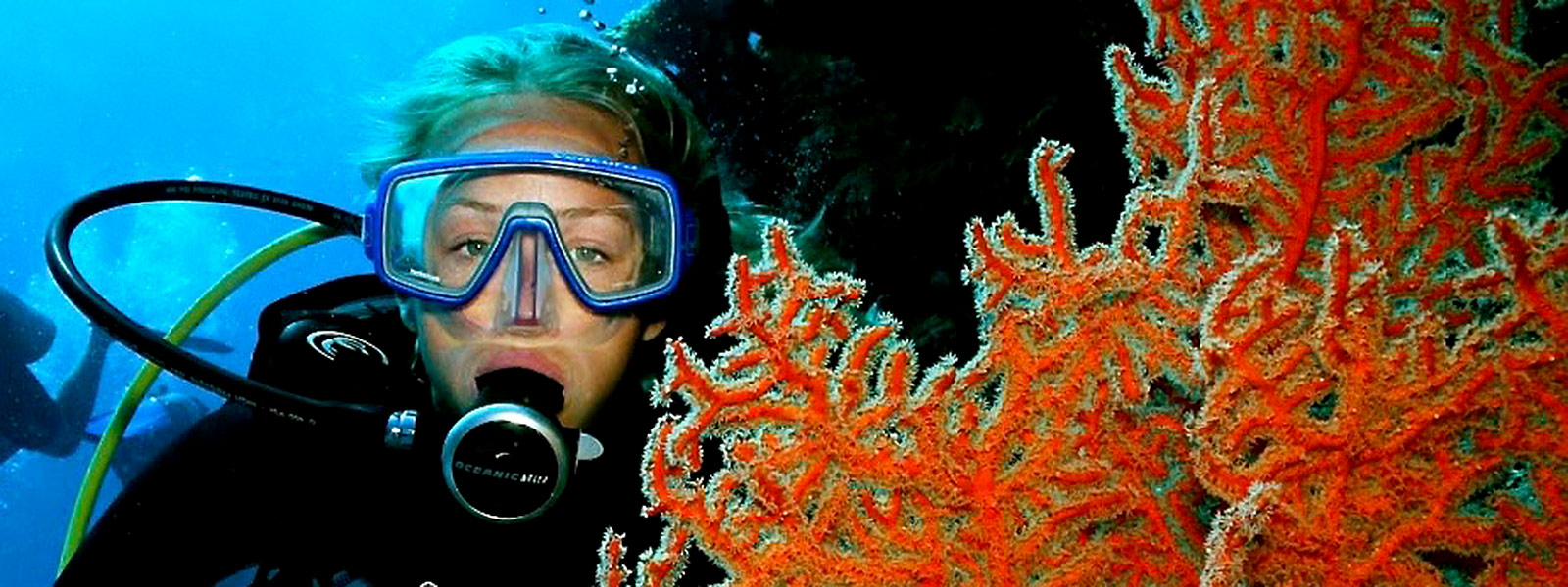 Best Port Douglas Scuba Diving Trips